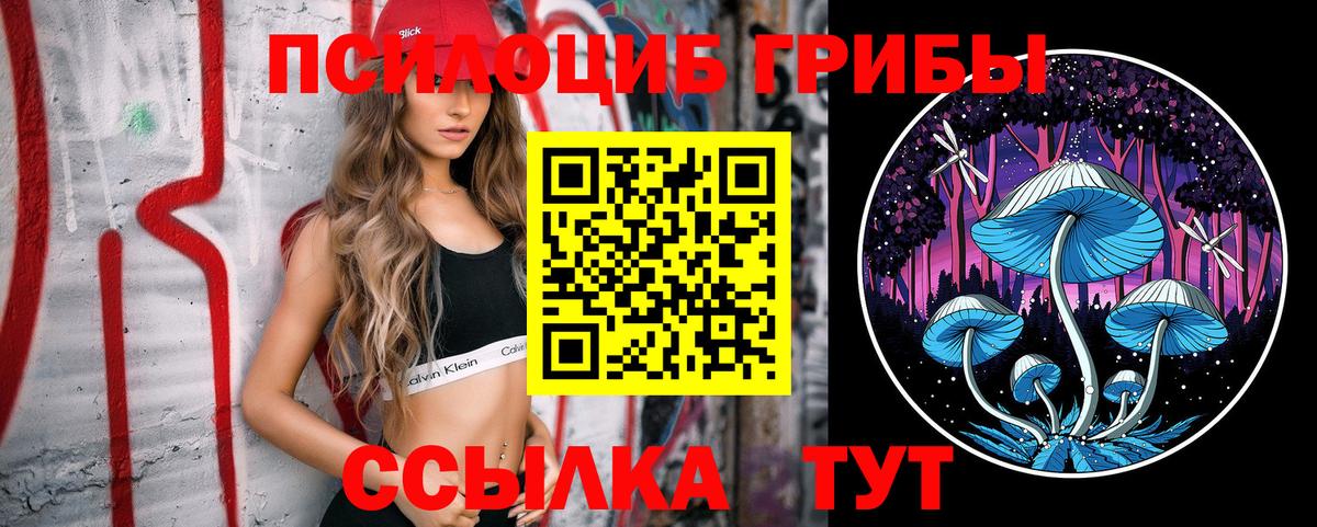Мурино  Галлюциногенные грибы MAGIC MUSHROOMS  Вход с VPN  Галлюциногенные грибы мицелий 